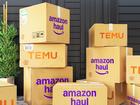 In November, Amazon quietly launched Haul, a mobile-only section of its shopping app for items under $20