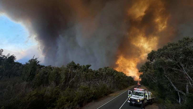 CFA personnel at an out of control bushfire in the Grampians National park, in Victoria.