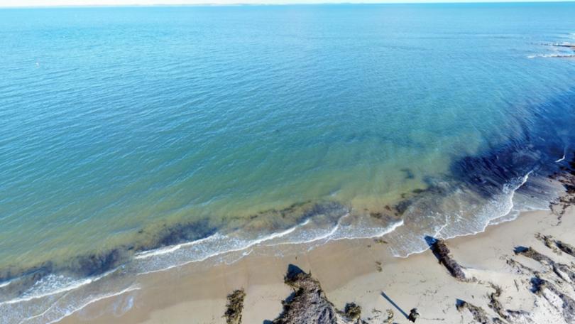 A man has drowned at Balnarring Beach in Melbourne.