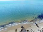 A man has drowned at Balnarring Beach in Melbourne.