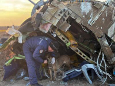 Rescuers search the wreckage after the crash.