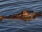 Crocodile numbers in the Northern Territory have raised concerns about safety at swimming holes. (Dean Lewins/AAP PHOTOS)