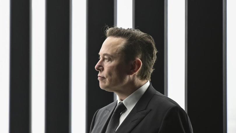 Tesla founder Elon Musk has thrown his weight behind Germany's far right party.