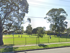 A teenage boy has been stabbed in the back after illegal fireworks were set off in a park in Sydney’s west. File image