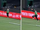 Glenn Maxwell’s stunning catch in the BBL. 