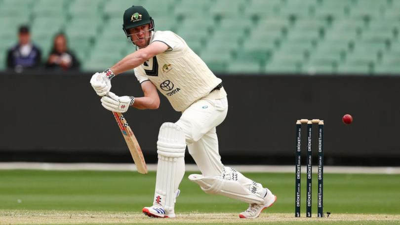 Allrounder Beau Webster has been brought into the Test team more for his batting. (Morgan Hancock/AAP PHOTOS)