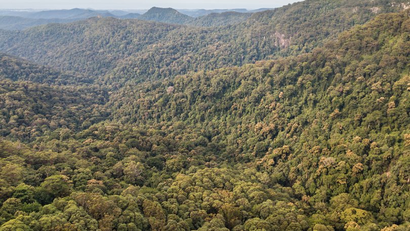 Human remains found in Springbrook National Park