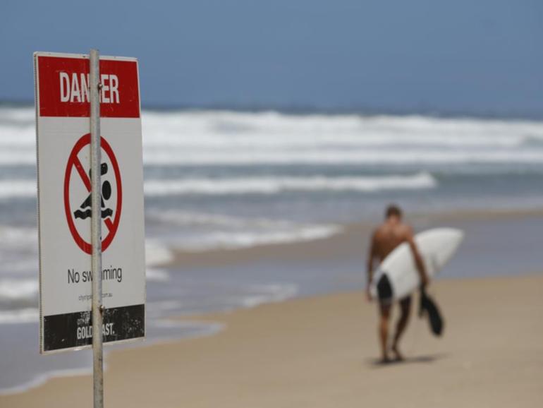 Great white shark numbers are "exploding", posing a risk to surfers in SA, a local fisherman says. (Regi Varghese/AAP PHOTOS)