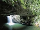 Bones, which could be human, have been found at the popular Springbrook National Park in Queensland. (HANDOUT/TOURISM QUEENSLAND)