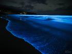 Bioluminescence bioluminescence captured along the coast of Tasmania.