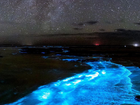 Tasmania is experiencing its biggest bioluminescence bloom in nearly a decade.