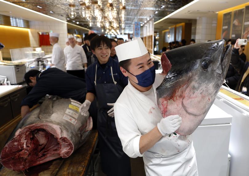 A sushi restaurant staff member holds the head of the auctioned 276-kilogram Bluefin tuna.