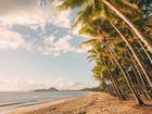 Palm Cove Beach in Cairns.