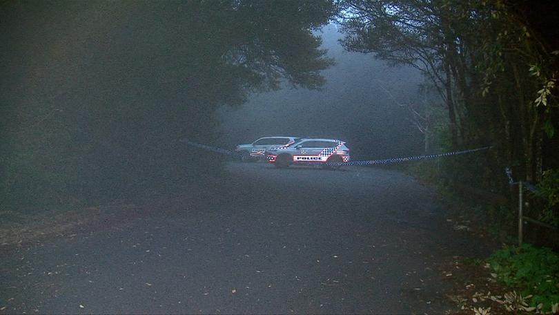 A human skull was found in Springbrook National Park last week, prompting a search.