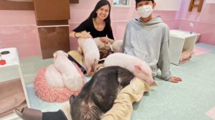 CNBC accompanied Morimoto for two hours, taking him to a piglet cafe in Tokyo where customers can sip on a drink and interact with litters of piglets.