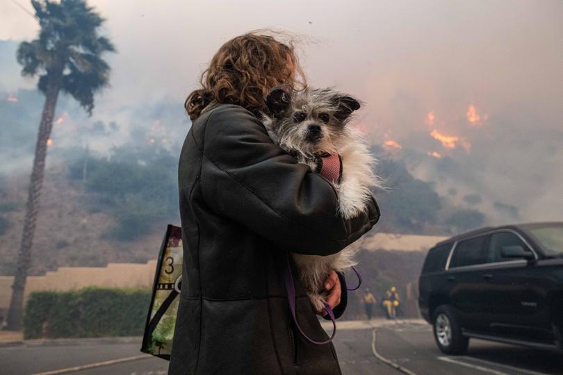 A Pacific Palisades resident flees with her dog.