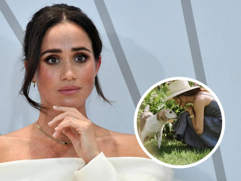 Meghan Markle has shared that her beloved pet dog Guy has died, penning a heartbreaking tribute to the beagle on social media.