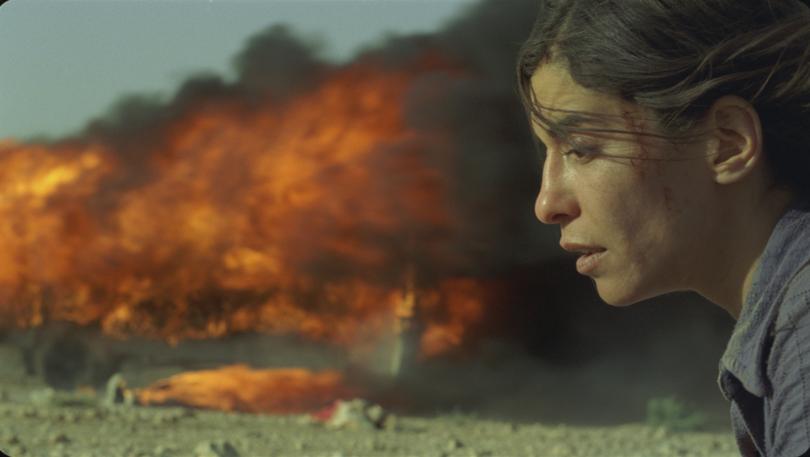 Incendies was nominated for a foreign-language Oscar.