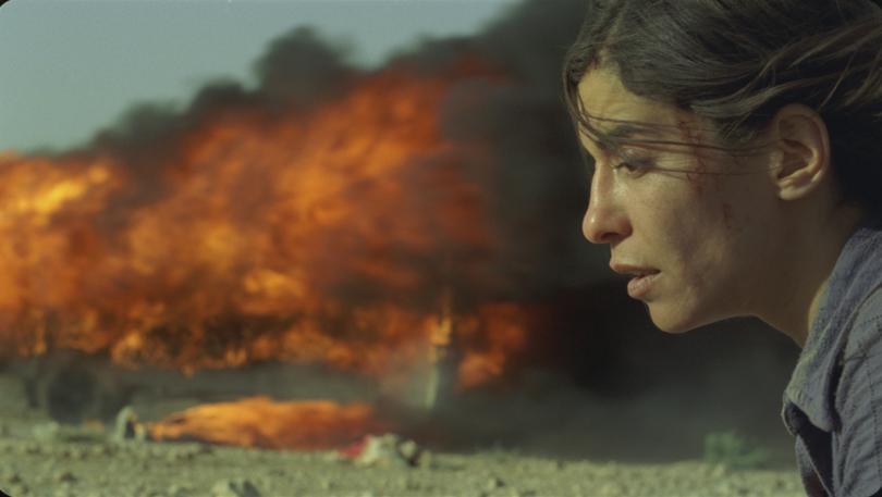 
Incendies was nominated for a foreign-language Oscar.