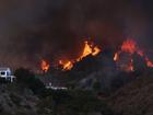 The Pacific Palisades fire has swept through an LA hillside dotted with celebrity residences. File image.