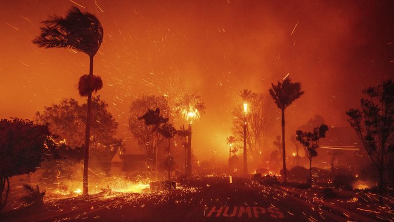 The Palisades Fire is the biggest of the blazes surrounding Los Angeles, scorching more than 2000 hectares of land. 