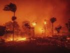 The Palisades Fire is the biggest of the blazes surrounding Los Angeles, scorching more than 2000 hectares of land. 