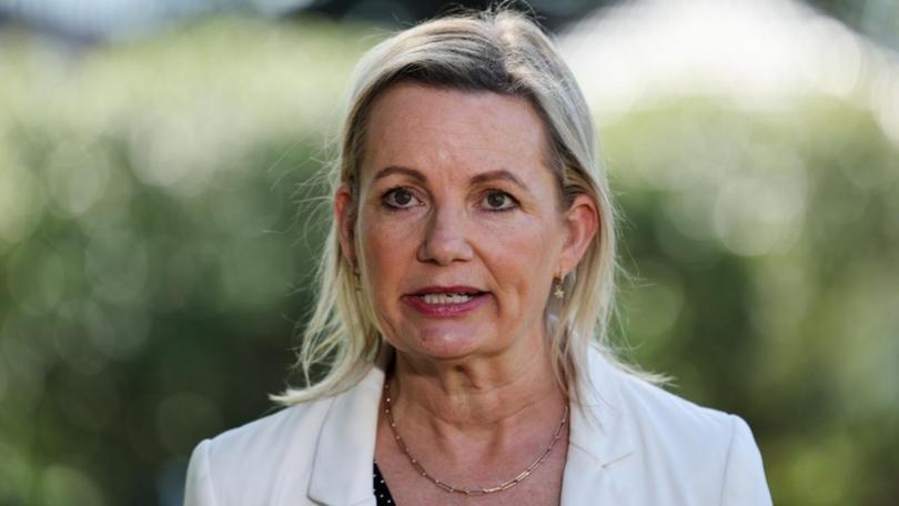 Sussan Ley said Australia could learn a thing or two from Germany, where 50 per cent of university-bound high school students applied for vocational training.