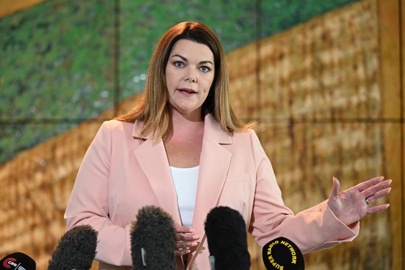 Australian Greens Senator Sarah Hanson-Young speaks to the media during a press conference at Parliament House in Canberra, Wednesday, January 8, 2024. 