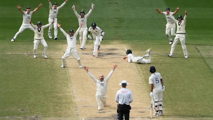 Nathan Lyon celebrates after trapping Mohammed Siraj lbw as Australia won the match during day five of the  Fourth Test.