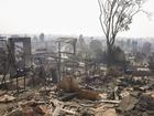 A neighborhood of homes destroyed by the Palisades wildfire.