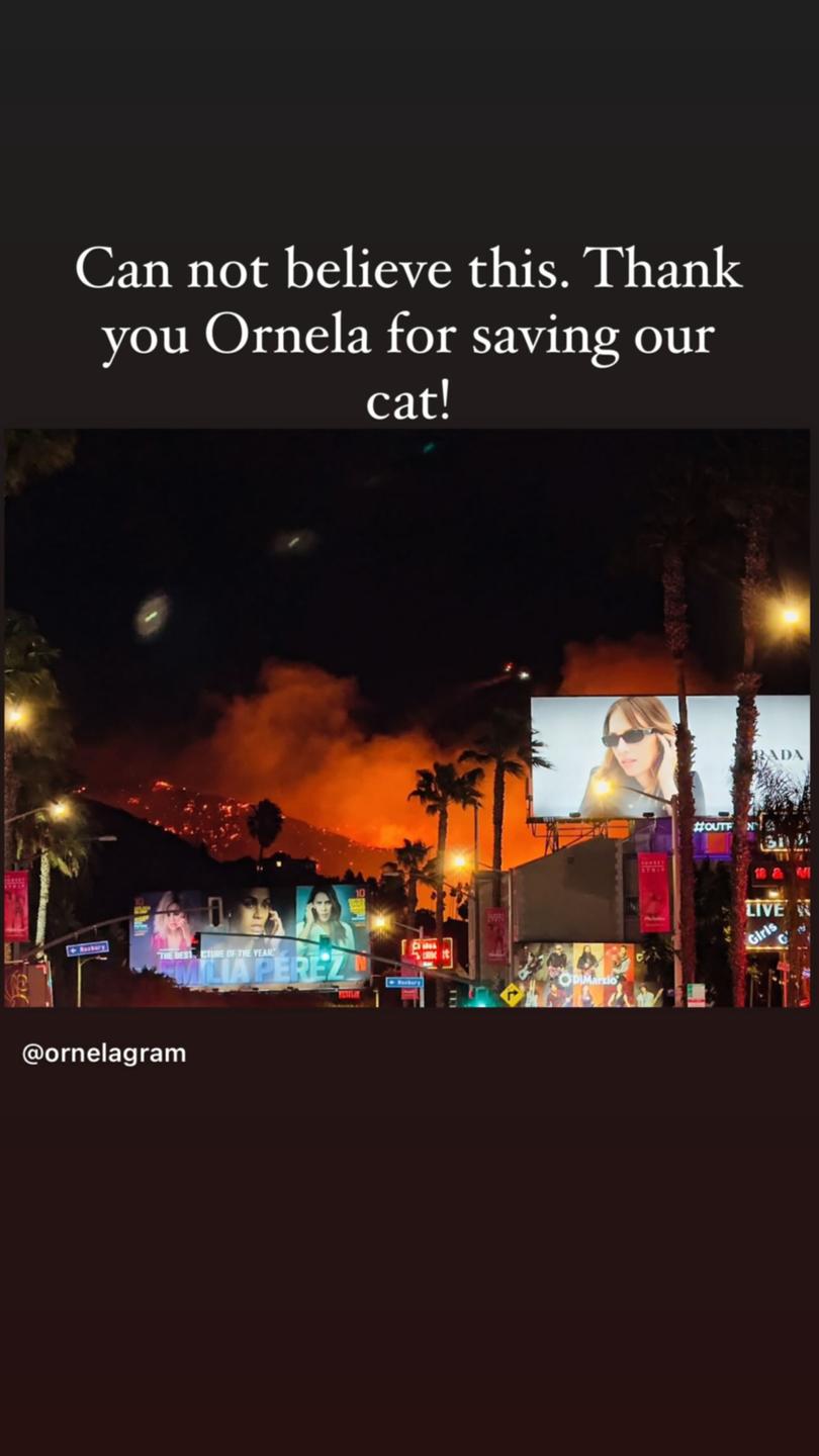 Rebel Wilson has thanked her friend Ornela for saving her cat from the Los Angeles fires.