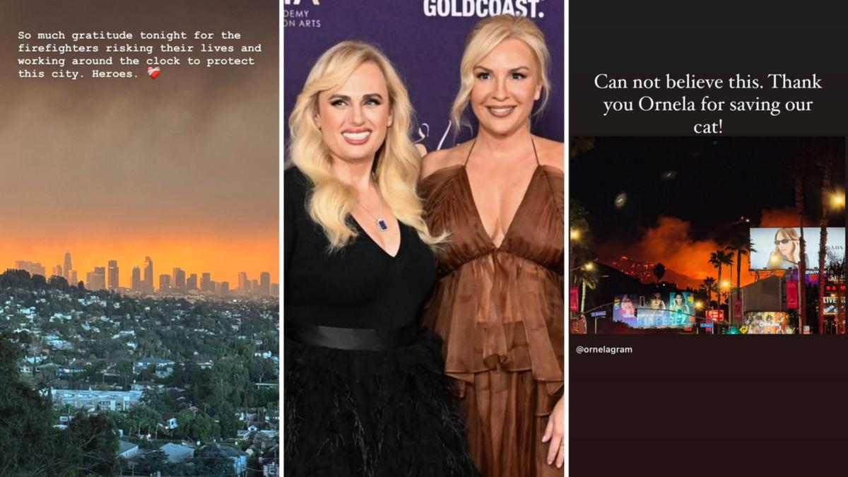 LA wildfires: Which celebrity homes were destroyed and which were spared in the deadly infernos