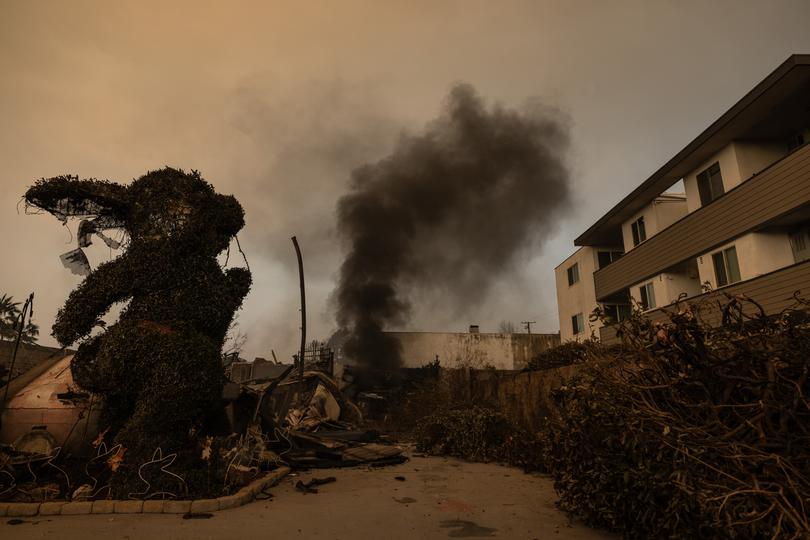 The Eaton Fire destroyed the Bunny Museum, which held more than 35,000 rabbit-related items across 16 galleries. 