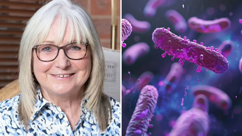 Grandmother Sue Wheatley was rinsing out a tin of crab meat when she cut her finger on the sharp lid. Within two weeks, this innocuous wound left her in a ten-day coma, fighting for her life.
