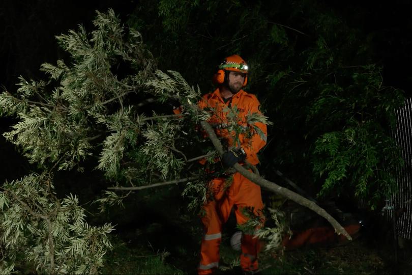 A NSW SES member clears a tree branch as powerful thunderstorm lash the state.