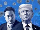 Elon Musk and Donald Trump have made crypto mainstream as new administration affects financial markets