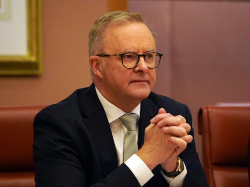 Mr Albanese was first to put is cautious optimism on the table, saying he was hopeful it would alleviate tensions and dial down the rhetoric.
