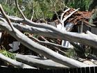 More powerful thunderstorms are forecast along Australia's east coast in the coming days.