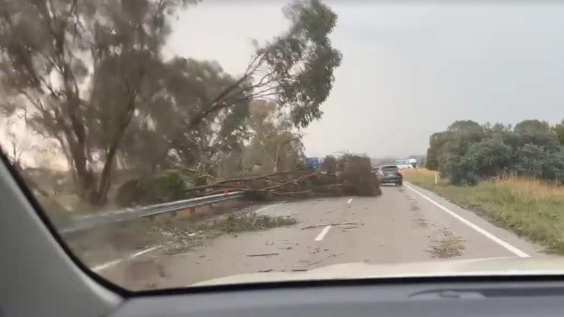 Fallen trees blocked parts of the highway in the Riverina.