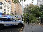 Two people were injured when a large tree fell at Hyde Park in central Sydney. 