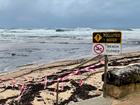 A water expert has opened up about the state of Sydney’s beaches, after shocking water quality findings were revealed for the state.