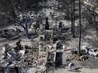 ALTADENA, CALIFORNIA - JANUARY 19: An aerial view of a couple searching through the remains of their home which burned in the Eaton Fire on January 19, 2025 in Altadena, California. They said they plan to rebuild. Multiple wildfires which were fueled by intense Santa Ana Winds have burned across Los Angeles County leaving at least 27 dead with over 180,000 people having been under evacuation orders. Over 12,000 structures, many of them homes and businesses, burned in the Palisades and Eaton Fires. (Photo by Mario Tama/Getty Images) Mario Tama