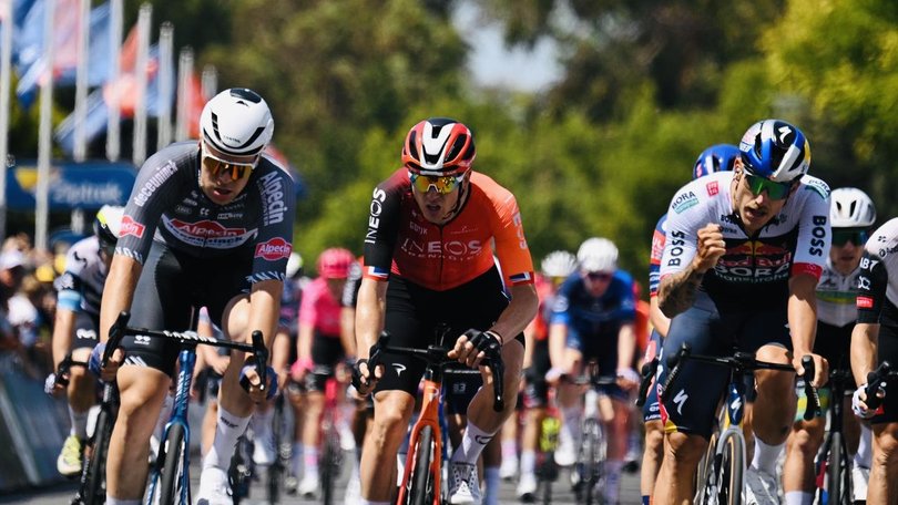 Tour Down Under leader and stage one winner Sam Welsford (R) was caught in a crash on Wednesday. (HANDOUT/TOUR DOWN UNDER)