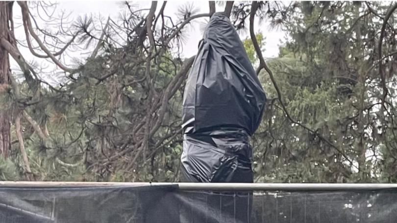 Police are investigating the decapitation of two prime minister's busts in the Ballarat Botanical Gardens. 