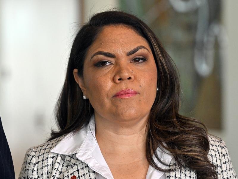 Jacinta Nampijinpa Price will be the coalition's new shadow minister for government efficiency.