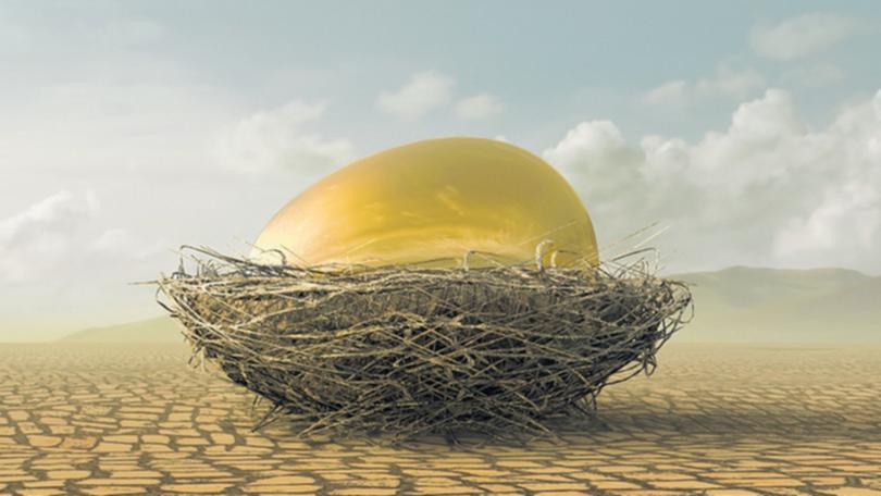 Golden egg in bird's nest