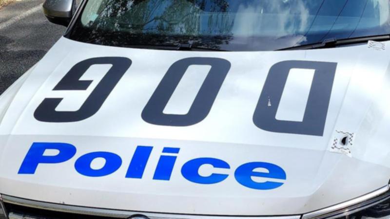 A police dog was attacked during the arrest