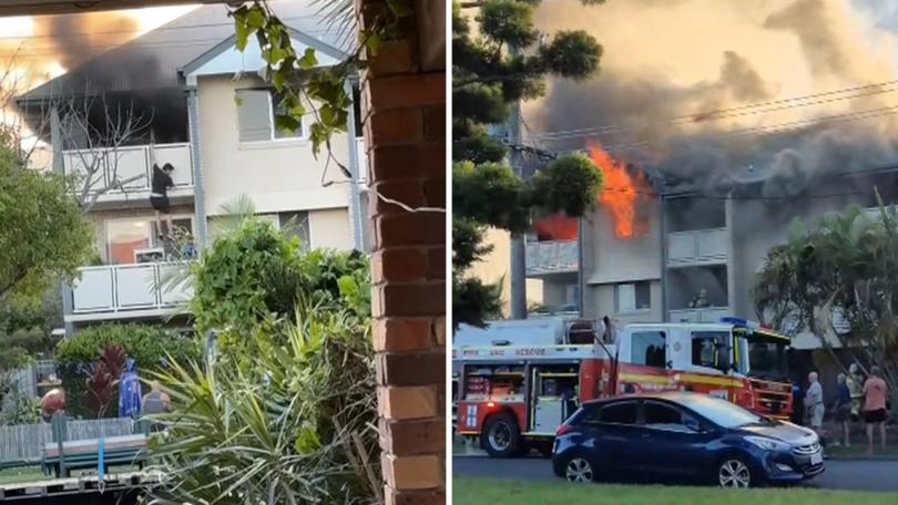 Locals have been dubbing him the Gold Coast ‘Spider-Man’.