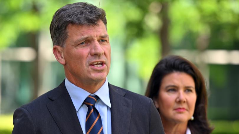 Shadow Treasurer Angus Taylor and shadow minister for finance Jane Hume.