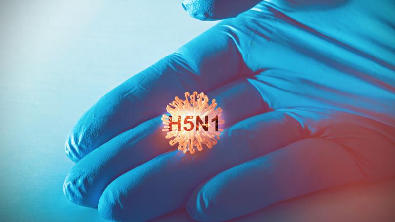 Scientists are worried that the continuing spread of H5N1, alongside seasonal flu and other strains, could produce new versions of the virus that spread more easily among humans. 